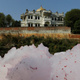 The Wider Image: Dying "Mother Ganges": holy river succumbs to pollution